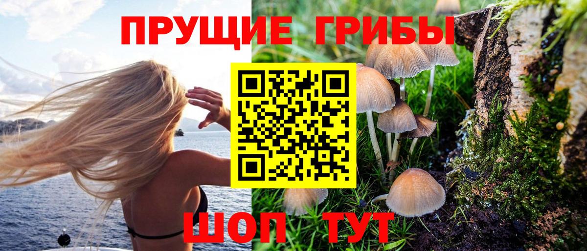 Галлюциногенные грибы GOLDEN TEACHER  Вход с VPN  закладка  Великие Луки  Галлюциногенные грибы прущие грибы 