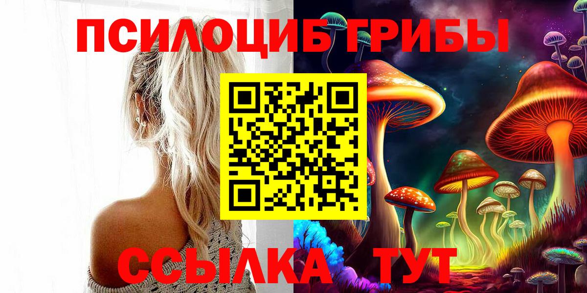 Псилоцибиновые грибы GOLDEN TEACHER Великие Луки